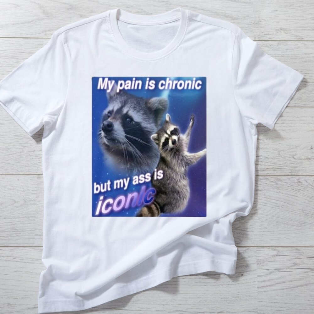 My Pain Is Chronic But My Is Iconic Funny Meme T-Shirt, Meme Shirt